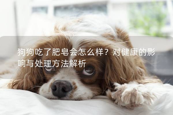 狗狗吃了肥皂會怎么樣？對健康的影響與處理方法解析