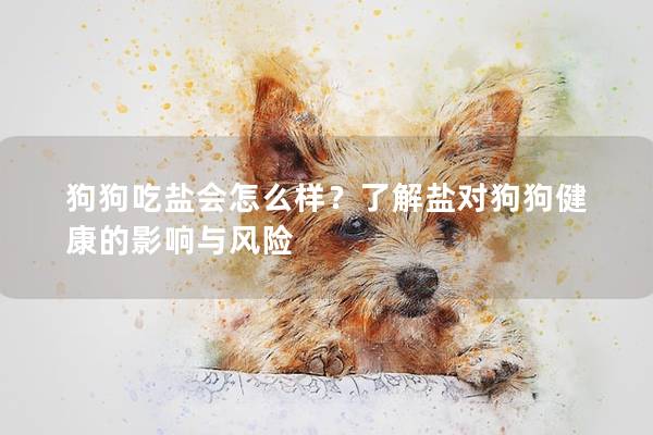 狗狗吃鹽會(huì)怎么樣？了解鹽對(duì)狗狗健康的影響與風(fēng)險(xiǎn)
