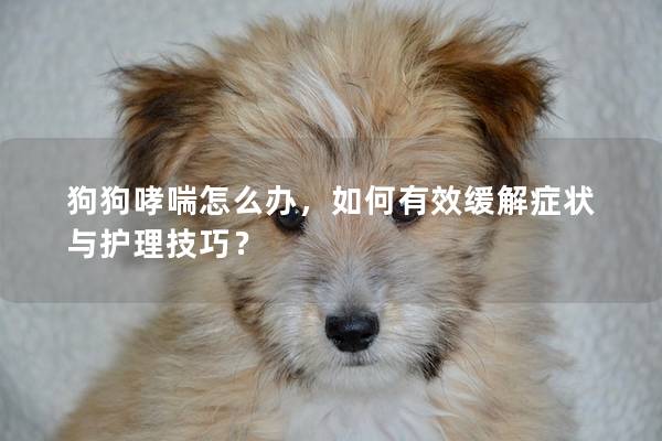 狗狗哮喘怎么辦，如何有效緩解癥狀與護理技巧？