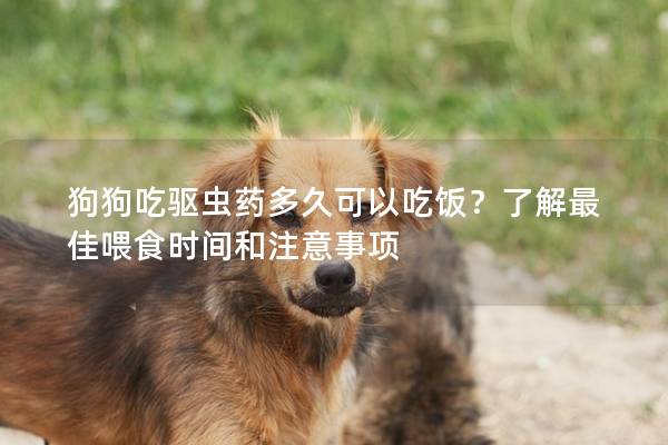 狗狗吃驅蟲藥多久可以吃飯？了解最佳喂食時間和注意事項