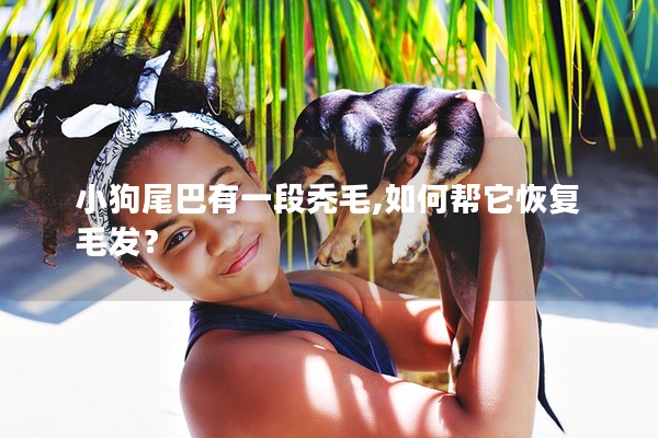 小狗尾巴有一段禿毛,如何幫它恢復毛發？