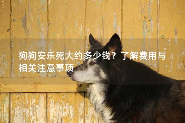 狗狗安樂死大約多少錢？了解費(fèi)用與相關(guān)注意事項(xiàng)