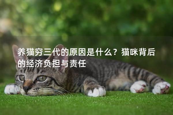 養(yǎng)貓窮三代的原因是什么?貓咪背后的經(jīng)濟(jì)負(fù)擔(dān)與責(zé)任 養(yǎng)貓窮三代的原因是什么?貓咪背后的經(jīng)濟(jì)負(fù)擔(dān)與責(zé)任