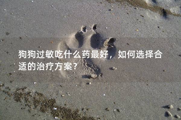 狗狗過敏吃什么藥最好，如何選擇合適的治療方案？