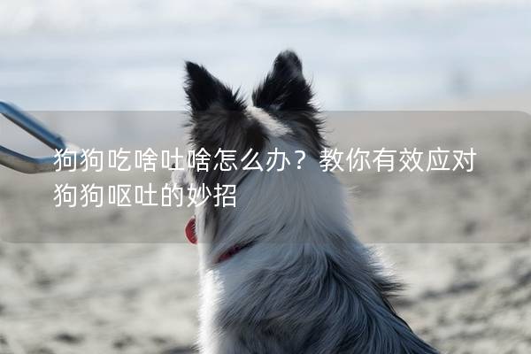 狗狗吃啥吐啥怎么辦？教你有效應對狗狗嘔吐的妙招