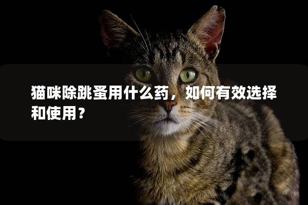 貓咪除跳蚤用什么藥，如何有效選擇和使用？