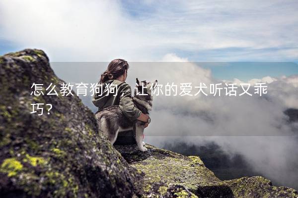 怎么教育狗狗,讓你的愛犬聽話又乖巧? 怎么教育狗狗,讓你的愛犬聽話又乖巧?