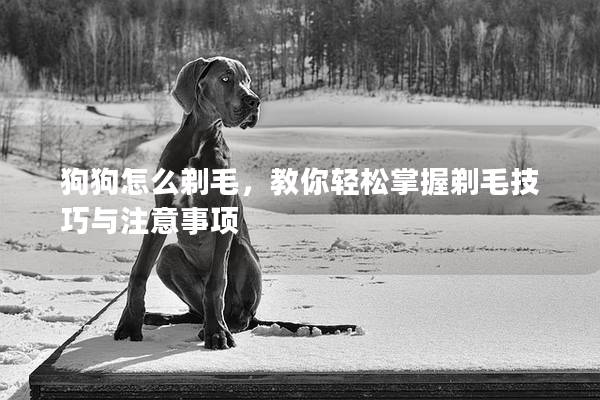 狗狗怎么剃毛,教你輕松掌握剃毛技巧與注意事項 狗狗怎么剃毛,教你輕松掌握剃毛技巧與注意事項