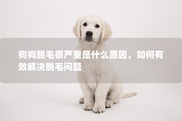 狗狗脫毛很嚴(yán)重是什么原因,如何有效解決脫毛問(wèn)題 狗狗脫毛很嚴(yán)重是什么原因,如何有效解決脫毛問(wèn)題