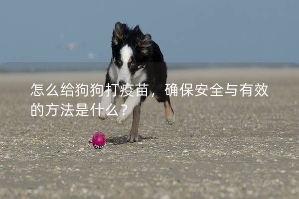 怎么給狗狗打疫苗，確保安全與有效的方法是什么？
