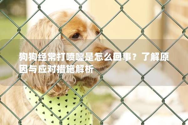 狗狗經常打噴嚏是怎么回事？了解原因與應對措施解析