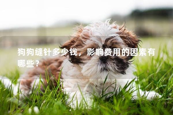 狗狗縫針多少錢，影響費(fèi)用的因素有哪些？
