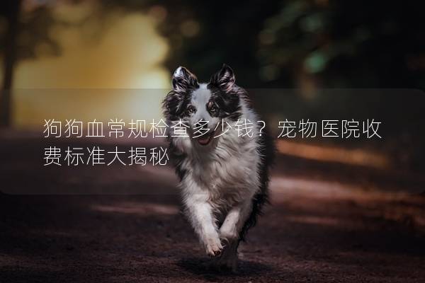 狗狗血常規檢查多少錢？寵物醫院收費標準大揭秘