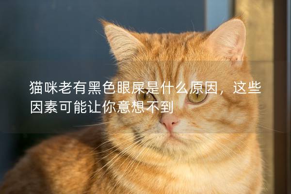 貓咪老有黑色眼屎是什么原因，這些因素可能讓你意想不到