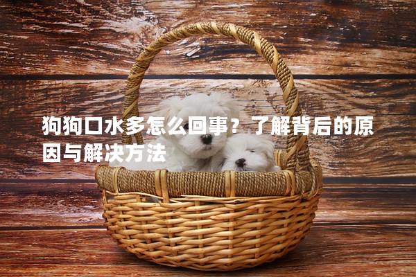 狗狗口水多怎么回事？了解背后的原因與解決方法