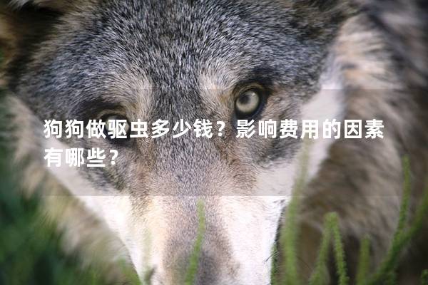 狗狗做驅(qū)蟲多少錢？影響費(fèi)用的因素有哪些？