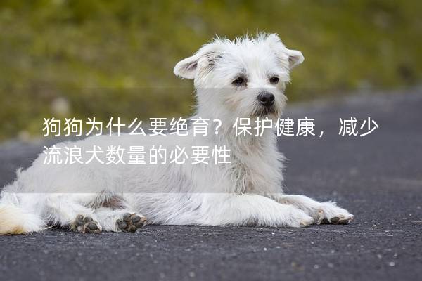 狗狗為什么要絕育？保護健康，減少流浪犬?dāng)?shù)量的必要性