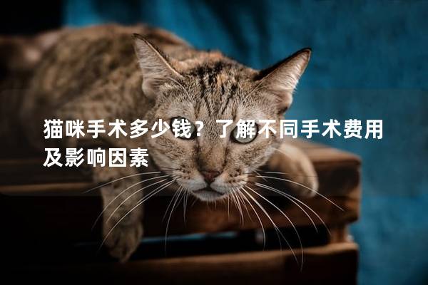 貓咪手術多少錢？了解不同手術費用及影響因素