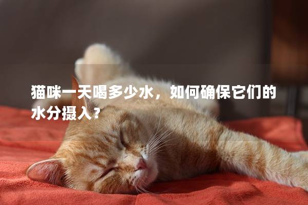 貓咪一天喝多少水，如何確保它們的水分攝入？