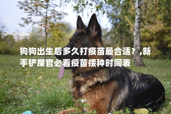 狗狗出生后多久打疫苗最合適？,新手鏟屎官必看疫苗接種時間表