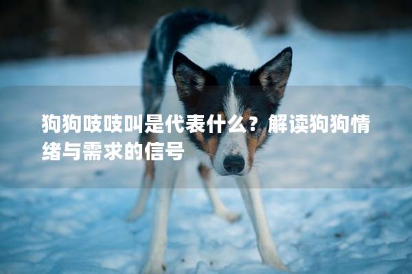 狗狗吱吱叫是代表什么？解讀狗狗情緒與需求的信號