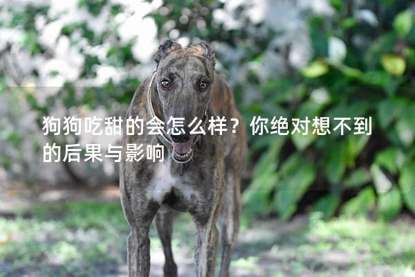狗狗吃甜的會怎么樣？你絕對想不到的后果與影響