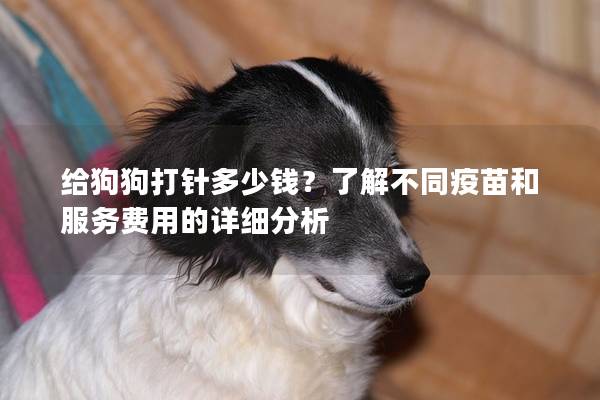 給狗狗打針多少錢？了解不同疫苗和服務(wù)費(fèi)用的詳細(xì)分析