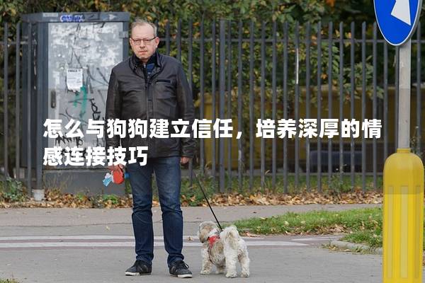 怎么與狗狗建立信任，培養深厚的情感連接技巧