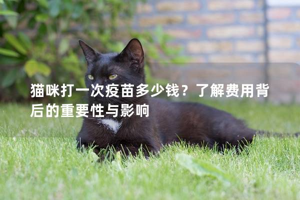 貓咪打一次疫苗多少錢？了解費(fèi)用背后的重要性與影響