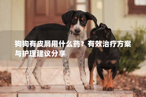 狗狗有皮屑用什么藥？有效治療方案與護理建議分享