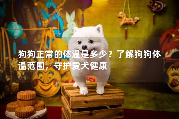 狗狗正常的體溫是多少？了解狗狗體溫范圍，守護(hù)愛犬健康