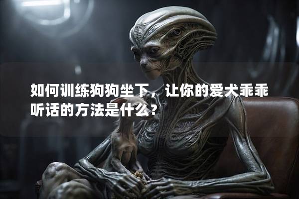 如何訓(xùn)練狗狗坐下，讓你的愛(ài)犬乖乖聽(tīng)話的方法是什么？