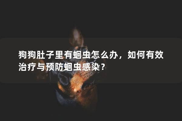 狗狗肚子里有蛔蟲怎么辦，如何有效治療與預(yù)防蛔蟲感染？