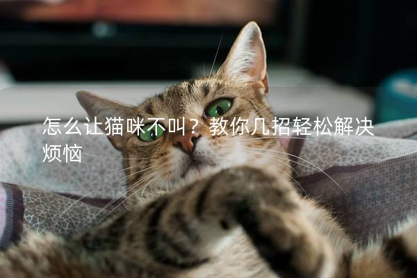 怎么讓貓咪不叫？教你幾招輕松解決煩惱