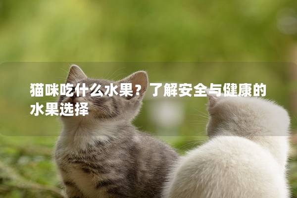 貓咪吃什么水果？了解安全與健康的水果選擇