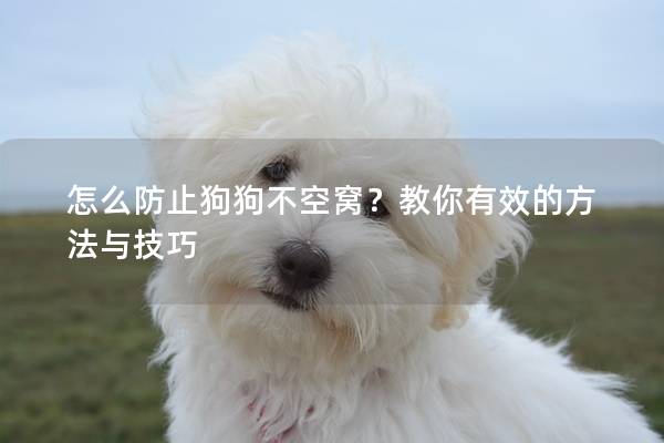 怎么防止狗狗不空窩？教你有效的方法與技巧