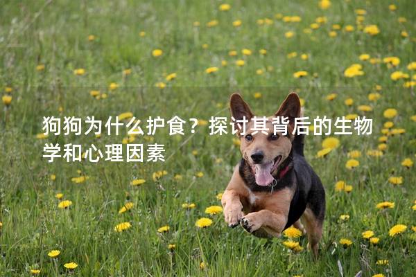 狗狗為什么護食？探討其背后的生物學和心理因素