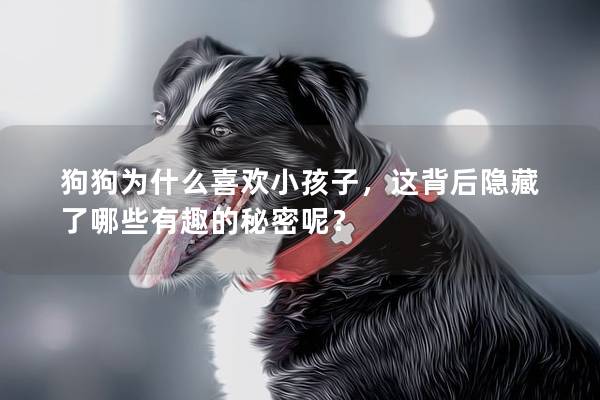 狗狗為什么喜歡小孩子，這背后隱藏了哪些有趣的秘密呢？