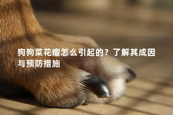 狗狗菜花瘤怎么引起的？了解其成因與預(yù)防措施