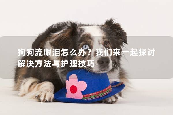 狗狗流眼淚怎么辦？我們來一起探討解決方法與護(hù)理技巧