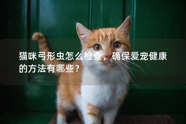 貓咪弓形蟲(chóng)怎么檢查，確保愛(ài)寵健康的方法有哪些？