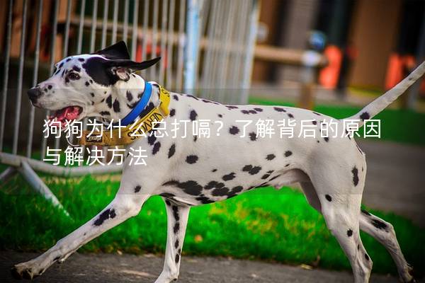 狗狗為什么總打嗝?了解背后的原因與解決方法 狗狗為什么總打嗝?了解背后的原因與解決方法