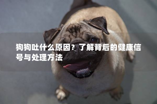 狗狗吐什么原因？了解背后的健康信號(hào)與處理方法