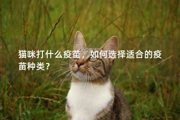 貓咪打什么疫苗，如何選擇適合的疫苗種類？