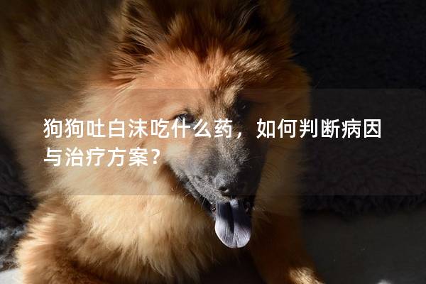 狗狗吐白沫吃什么藥，如何判斷病因與治療方案？