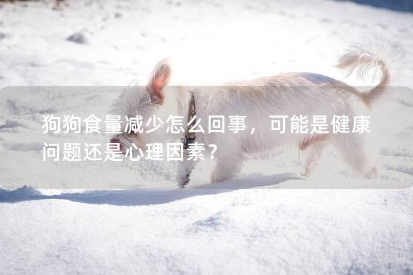 狗狗食量減少怎么回事，可能是健康問題還是心理因素？