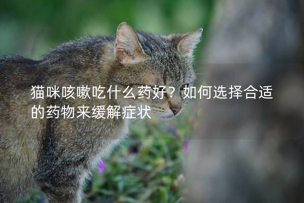 貓咪咳嗽吃什么藥好？如何選擇合適的藥物來緩解癥狀