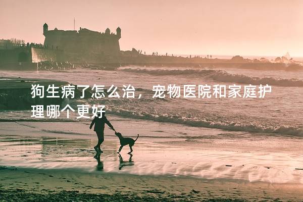 狗生病了怎么治，寵物醫(yī)院和家庭護(hù)理哪個更好