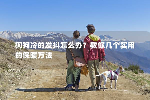 狗狗冷的發抖怎么辦？教你幾個實用的保暖方法
