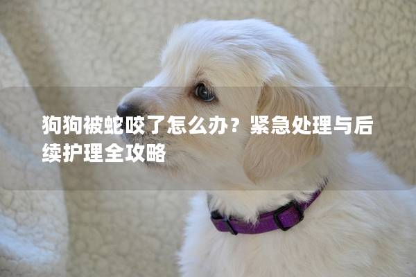 狗狗被蛇咬了怎么辦？緊急處理與后續(xù)護(hù)理全攻略